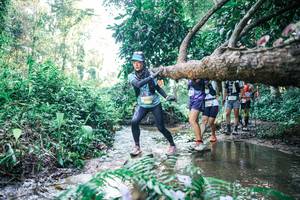 BIB: 
                            <button type="button" onclick="openModal(25442560)" class="btn btn-primary btn-sm float-right btn-popup" data-toggle="modal" data-target=".modal-high-quality">
                        <i class="fas fa-shopping-cart"></i> Add to Cart
                    </button>
                                            <button type="button" onclick="isThisMe(25442560, true)" class="btn btn-success btn-sm float-right btn-popup btn-isme hidden" data-toggle="tooltip" data-placement="bottom" title="นี่คือรูปของคุณใช่ไหม คลิกที่นี่เพื่อเอาเข้าอัลบั้ม">
                        <i class="fas fa-plus"></i> Add to album
                    </button>
                    <button type="button" onclick="isThisMe(25442560, false)" class="btn btn-warning btn-sm float-right btn-popup btn-isnotme hidden">
                        <i class="fas fa-ban"></i> Remove from album
                    </button>